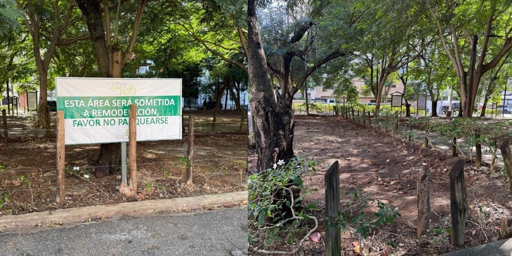 residentes-de-serralles-solicitan-evaluacion-del-uso-de-parqueos-en-parque-publico