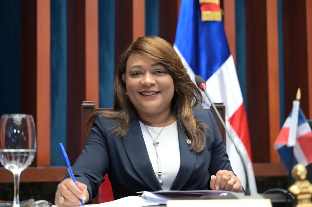“no-importa-si-son-los-nuestros”:-senadora-del-prm-respalda-a-paliza-y-pide-frenar-la-campana-adelantada